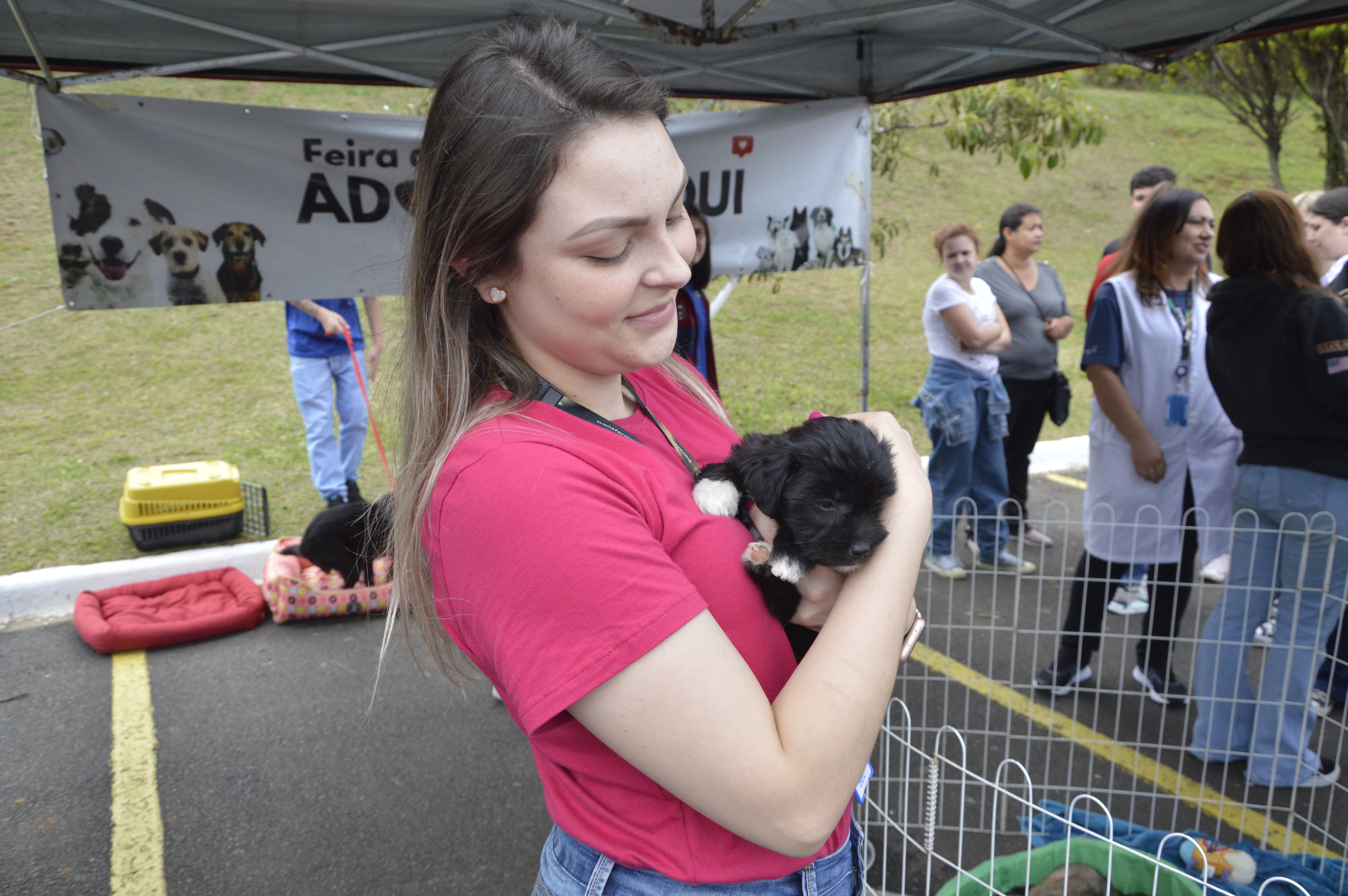 A ONG SOS Bichos promove eventos de adoção bazares e feiras para ajudar a causa animal
