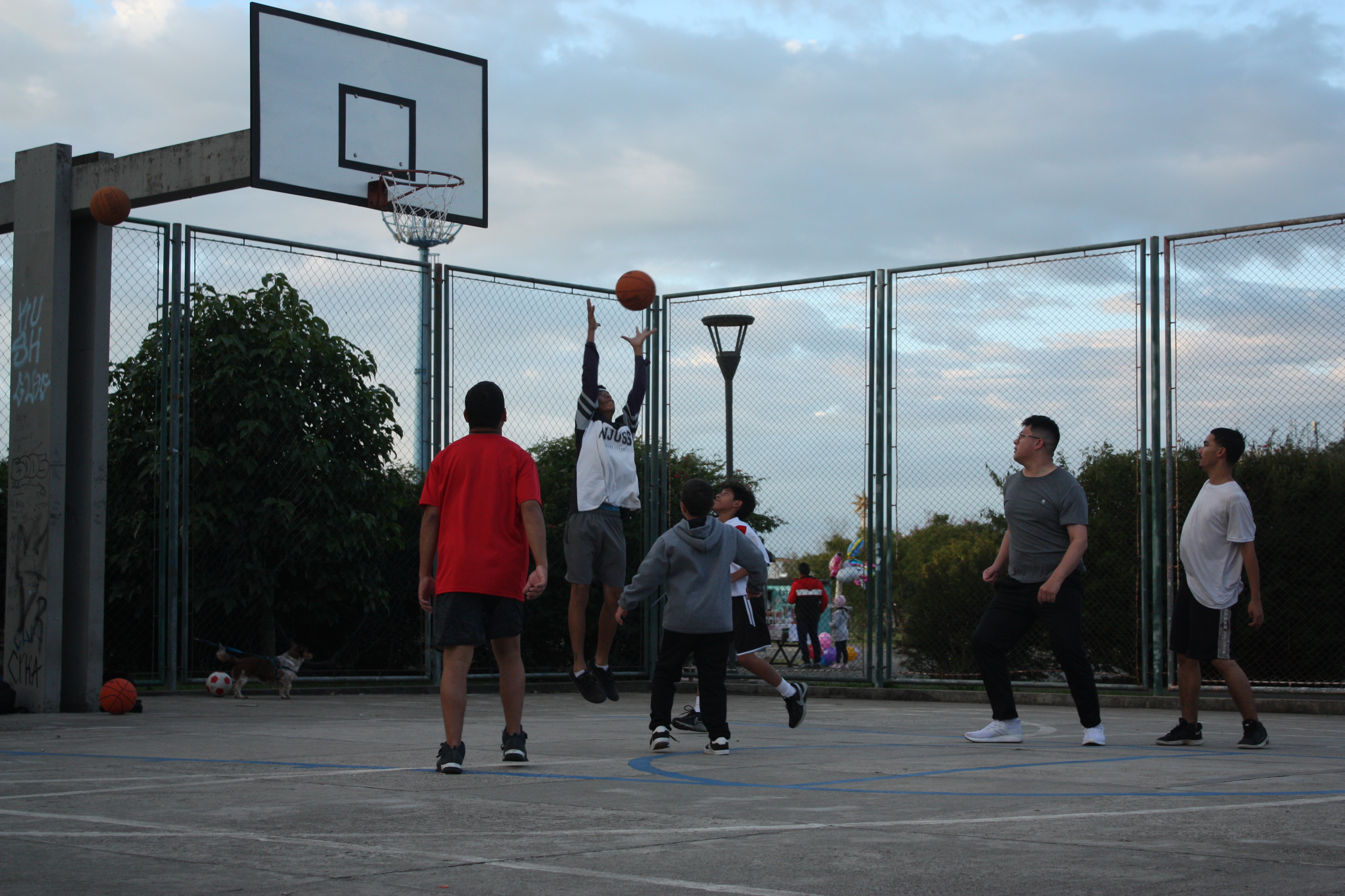 Jogo Basquete Vanessa Galvão 4