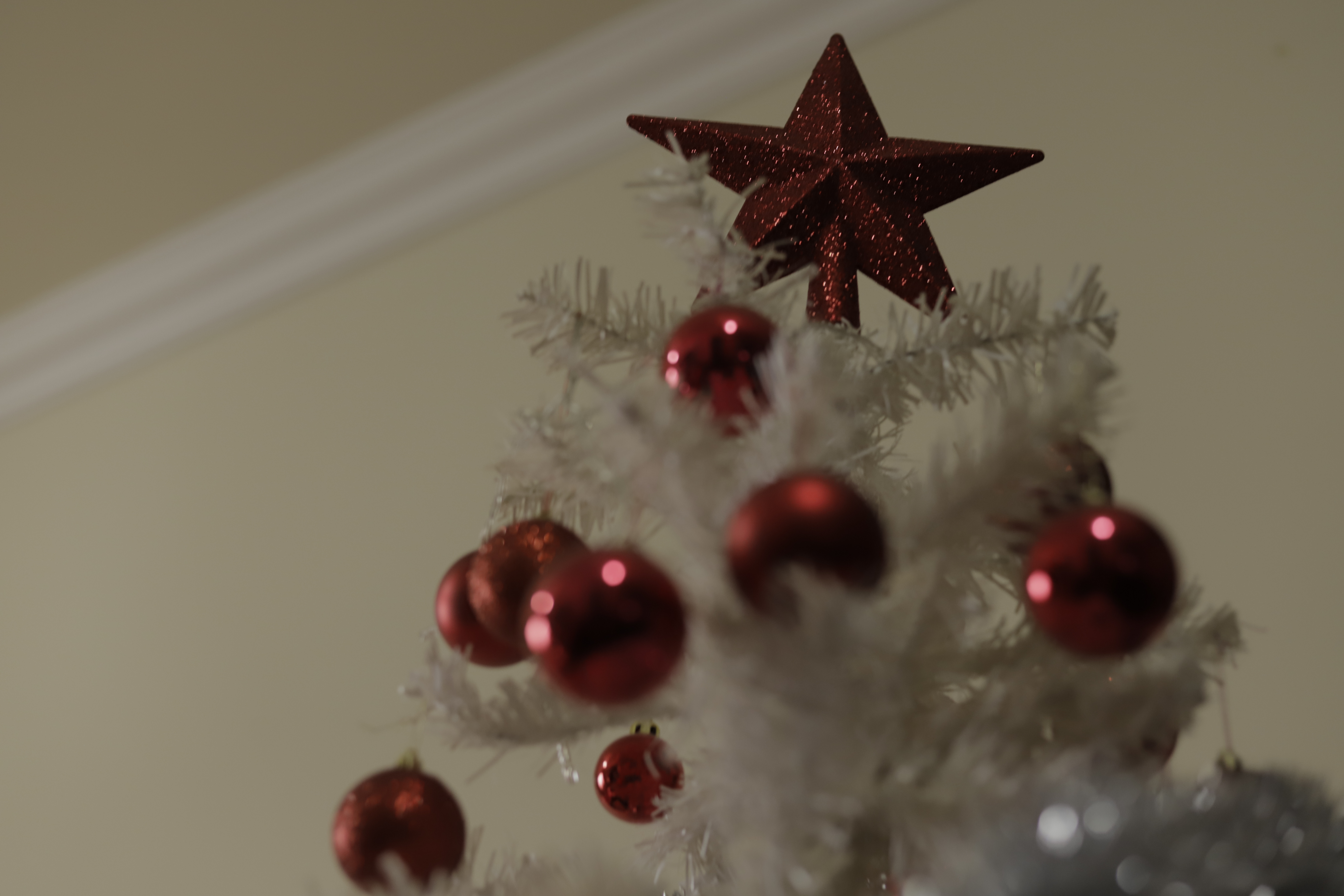 Enfeites de Natal: tradição de decorar casa gera oportunidade de renda em PG