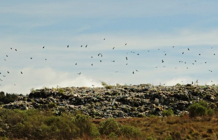 Fotos Mirna Bazzi (3) ok