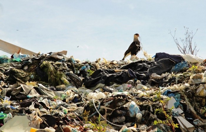 Fotos Mirna Bazzi (4) ok