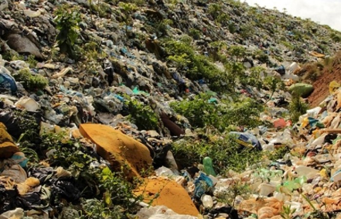 Fotos Mirna Bazzi (8) ok