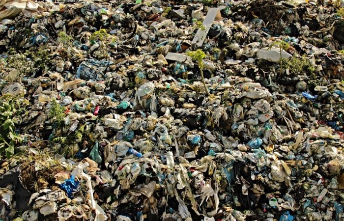 Fotos Mirna Bazzi (9) ok