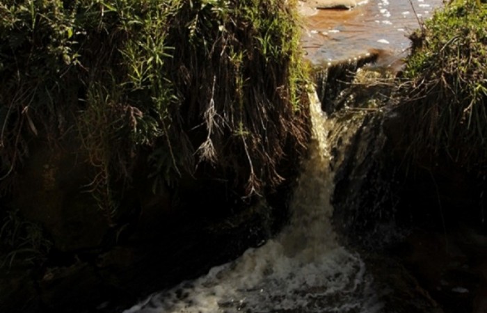 Fotos Mirna Bazzi (2) ok