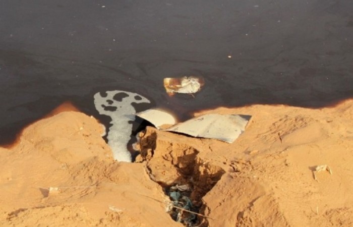 Fotos Mirna Bazzi (5) ok