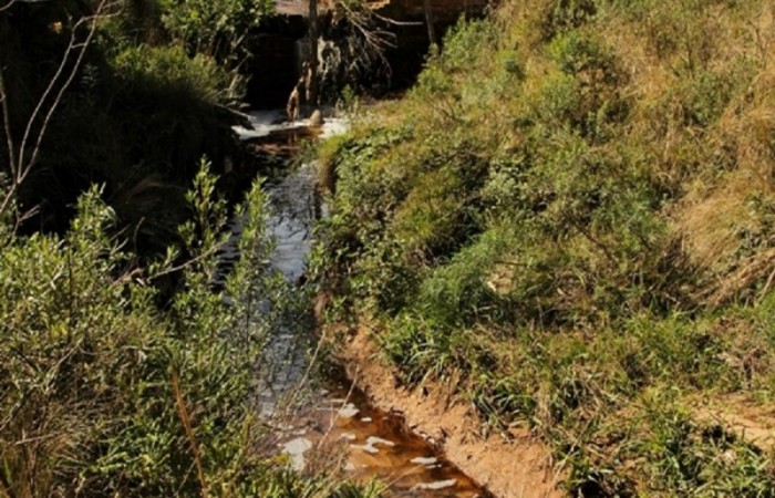 Fotos Mirna Bazzi (7) ok