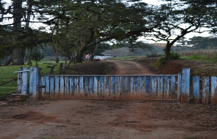 parque_04.jpg